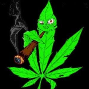 Meet your Posher, Rawlings